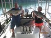 (08/12/2015) - Nice Striped Bass